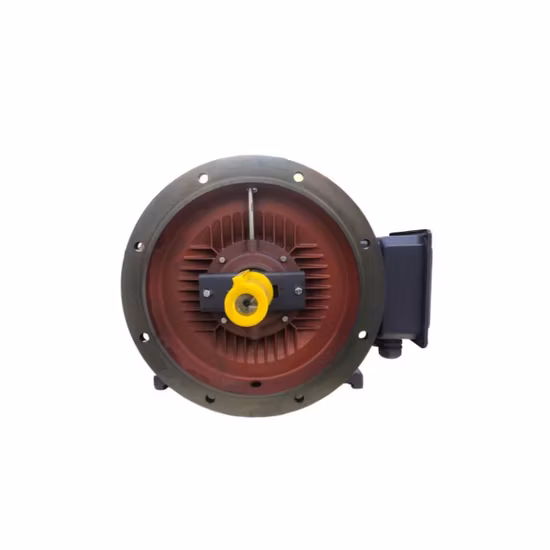 Ie3 Premium-Effizienz-Elektromotor