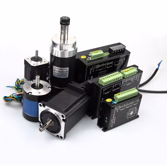 12V 24V 36V 48V DC Bürstenloser Motor