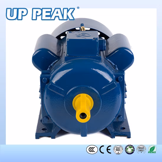 Chinesische einzelne dreiphasige 1,5 kW 2 PS 5,5 kW 132 m 132 sb 160 m Kondensator Startlauf AC Asynchroner Induktionselektromotor Hersteller Lieferantenfabrik