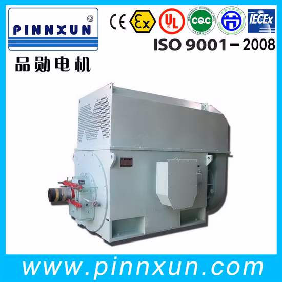 Dreiphasiger asynchroner Käfigläufer-Induktionsmotor mit Schleifring, 550 kW Elektromotor